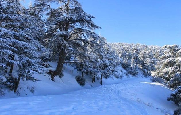 Intempéries et chutes de neige : Une seule route nationale toujours bloquée