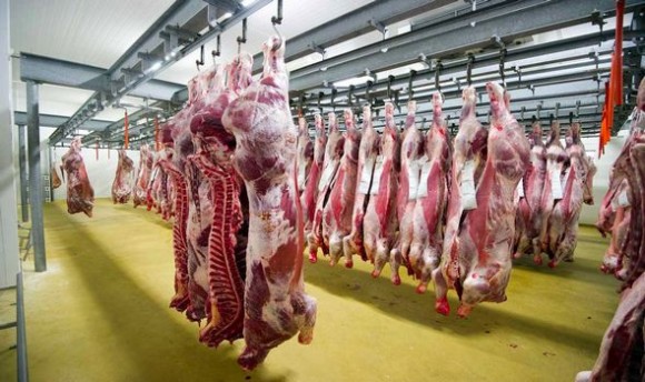 Boulenouar : «Sans les importations, la viande serait à plus de 3000 DA/kg»