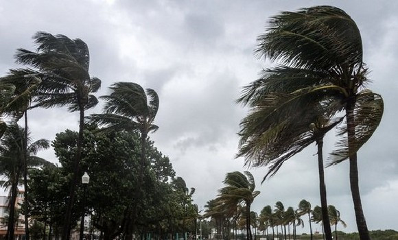 Météo : Vents violents sur plusieurs wilayas ce dimanche