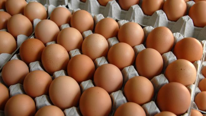 Les prix des œufs commencent à chuter