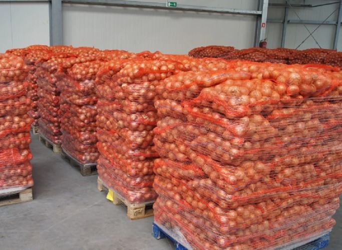 Plus de 5000 quintaux d’oignon sec exportés vers la Tunisie et la Libye
