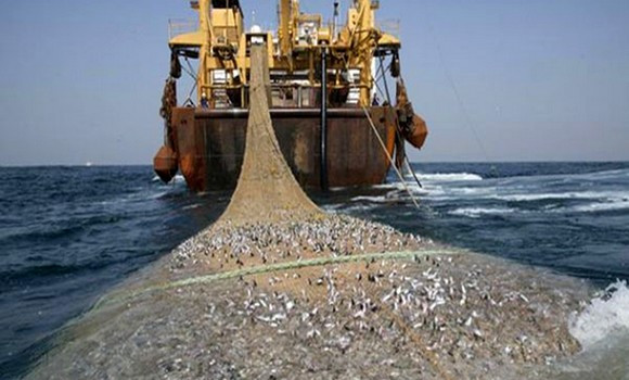 La pêche européenne dans les eaux sahraouies