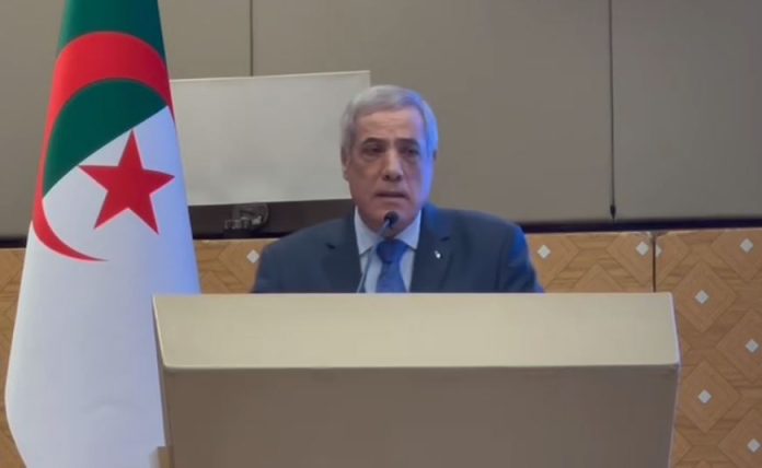 Le premier ministre Nadir Larbaoui