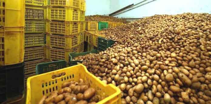 150 tonnes de pommes de terre saisies à Boumerdès