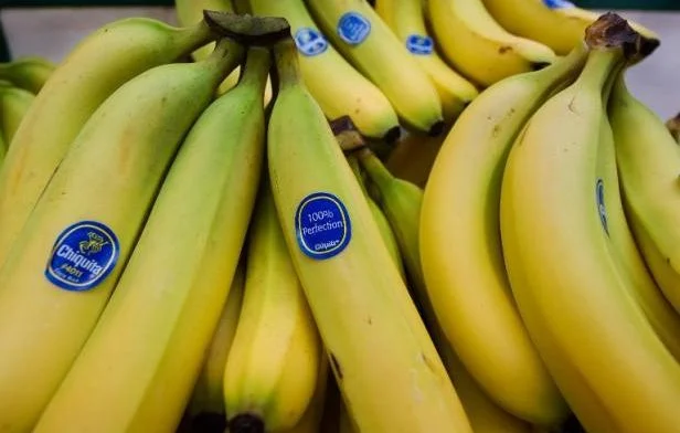 Saisie de 34 conteneurs de bananes au port d’Annaba
