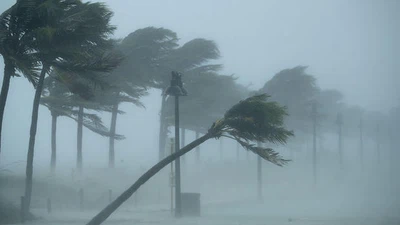 Météo : Fortes pluies et rafales de vent ce mercredi sur ces wilayas