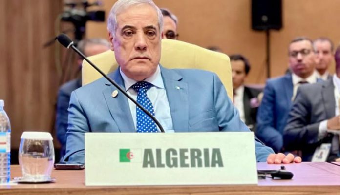 Larbaoui s’entretient avec le vice-président de la Sierra Leone