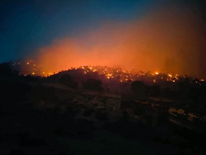 Incendies en Algérie : 72 feux recensés - L'Algérie Aujourd'hui